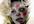 turn you or your friend to a zombie
