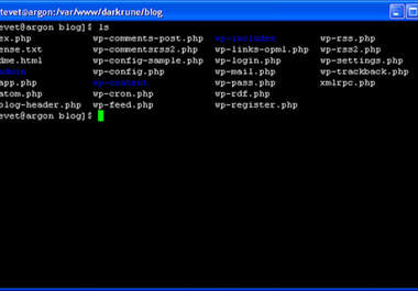 provide you a Linux VPS Server big1