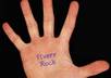take 3 pictures of my happy palm showing your message, website address, fan sign and what you like