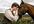 give you a psychic message from your horse
