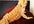 answer your questions about bearded dragons