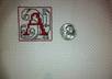 cross stitch a one and a half inch square bordered letter in the color of your choice with simple vines, if you want them,