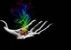 target market your link via twitter to 29,000+ followers on this power house gig small1