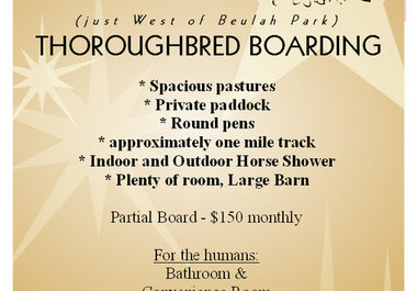 create a flyer for your upcoming event big1