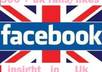 give u 300+ insight UK Facebook fans/likes with in 2 days without any admin