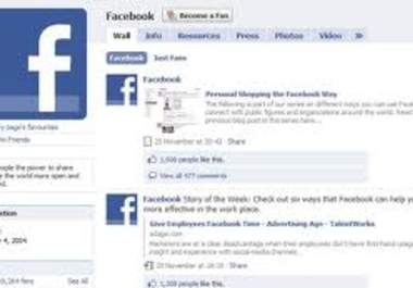 give you a big fan page having 100k+ likes big1