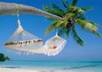 help with with your caribbean Travel Vacation