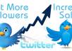 give you an ebook which well describes how to get or give thousands of twitter followers