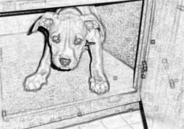 cartoonify any picture you want big1