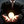 businesstips
