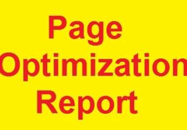 create website optimization report in pdf format big1