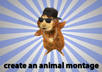 make a funny theme related montage of any animal