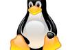 assist you to start using Linux