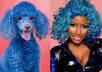 Who let the dogs out?