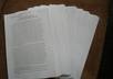 type your essay or college paper
