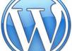 install,setup a wordpress blog,Theme and 9 plugins for SEO,No nudity sites