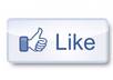 give you 500+ real people Facebook Likes in a day LIMITED offer