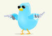 send your Twitter Advertising message to my 22,000+ Followers 2 times per day for 5 days