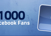 give you 1000+ real human |PERMANENT| facebook likes on your page small1
