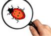 provide Quality testing services