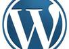 create a Professional eCommerce website for you