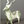 businessbuck