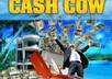 teach you the shockingly simple method to make 300 dollars daily from cpa