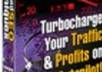 teach You How I Built Massive Traffic To My Site