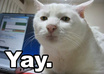 send a facebook message to anyone