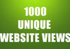 give your website 1000 unique human views