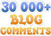 30000_blog_comments_top_web2