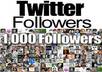 provide 1000 REAL active twitter followers small1
