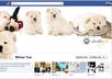 create a facebook cover page + profile pic with a theme