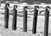 give back link from PR1 blog site OR Forum footer