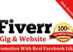 gave you 100+ Real Verified Facebook likes on your Fiverr gig or website just