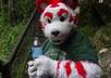 wear a white and red tiger suit and do a short personal message or advertisment