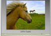 create any number of 30seconds slide show