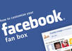 provide 160+ Real and Active facebook fans asap without admin access