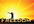 send 3000 Worldwide PREMIUM, Unique, Keyword Targeted, Real people to your website