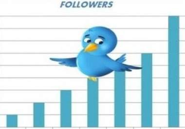 get you 2000 Followers to your twitter account with no password needed in less than 48 hours big1