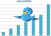 get you 2000 Followers to your twitter account with no password needed in less than 48 hours small1