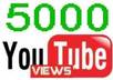 provide 5000+ real YouTube views with a very quick turnaround small1