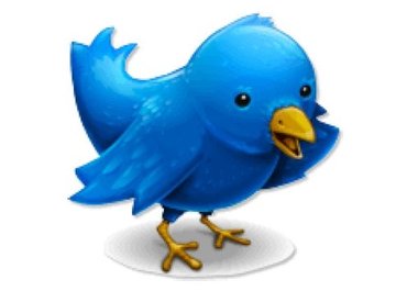 give you Twitter Report to make more money using Twitter marketing secrets big1