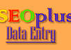 do Data Entry work for an hour