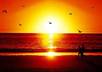 give you information of wonderful places along the Panhandle of Florida