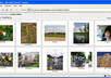 create a photo gallery page for your website