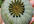 send u 500+ Giganteum Papaver Somniferum Poppy Seeds