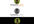 make you a personalized vector logo