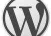 do any type of Wordpress work like Installing, Themes, Plugin Development or Customization any type of Wordpress work for 1 hour