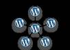 install WORDPRESS Multisite/Network in shortest Time Possible